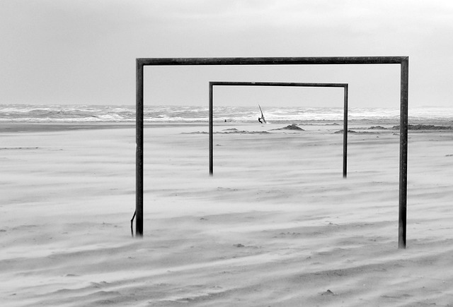 他们将争夺 他们将争夺