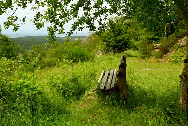 总台演播室现场拆盲盒 隐藏款“铝镁侠”闪亮登场.