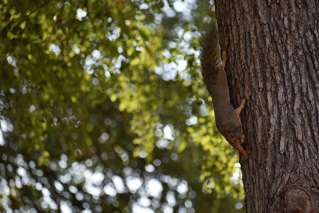 在瞬息万变 在瞬息万变