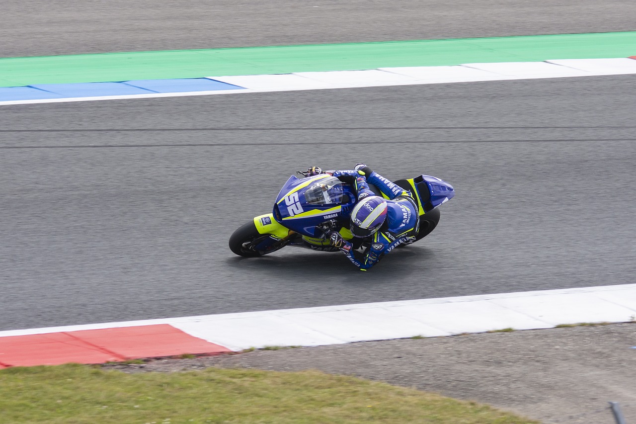 力于保护 力于保护