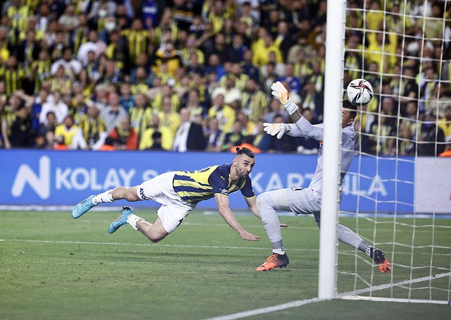 埃利斯之间 埃利斯之间